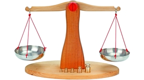 Immagine per la categoria Shop